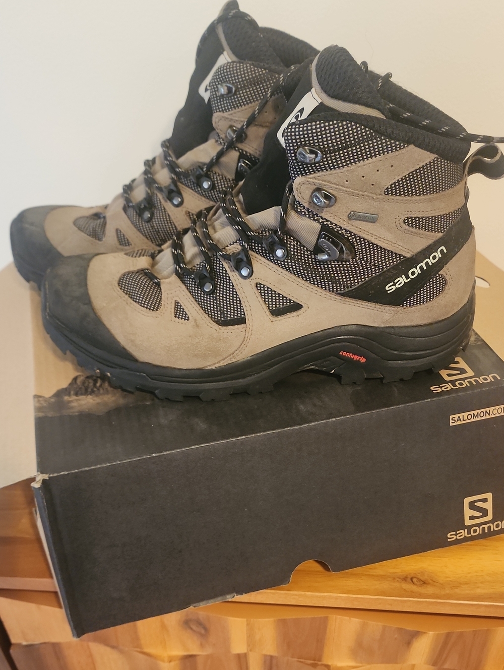 Salomon Men's Hiking Boots